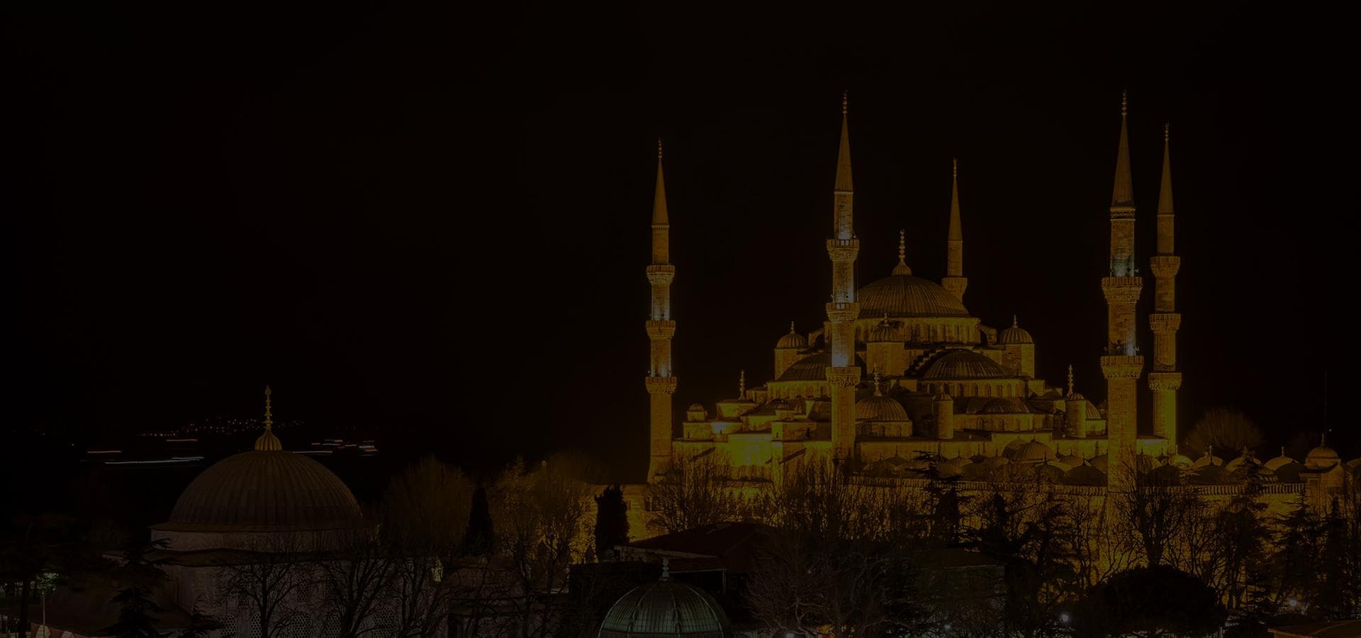 Blue Mosque illuminated at night